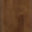 Nutmeg Modern Sample Square