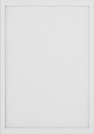 York Slim White Shaker